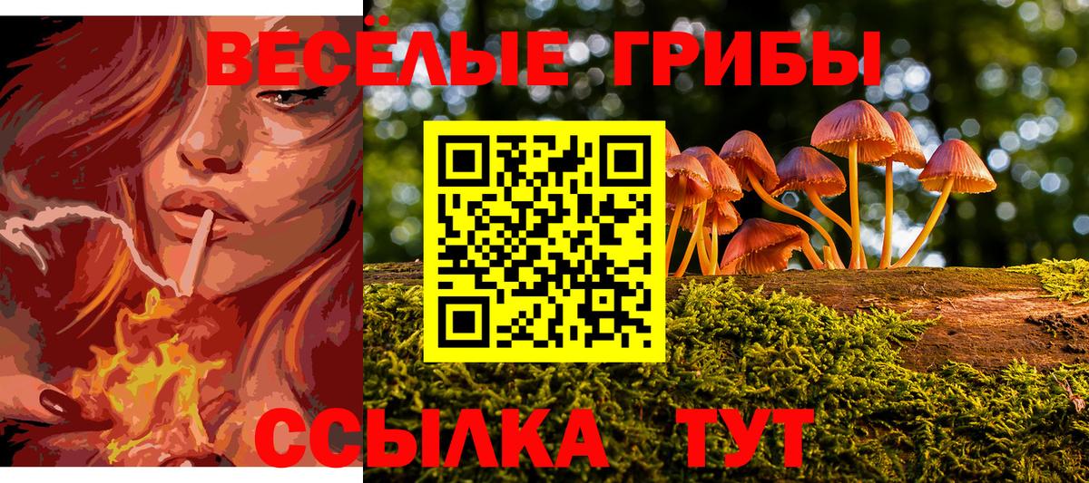 Юрга  Галлюциногенные грибы Psilocybe  Псилоцибиновые грибы Psilocybine cubensis  Вход с VPN 
